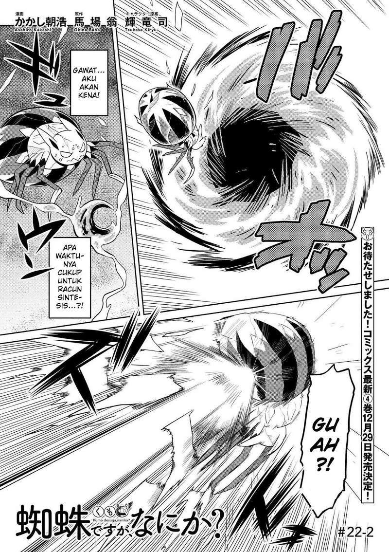 Kumo desu ga, Nani Ka?